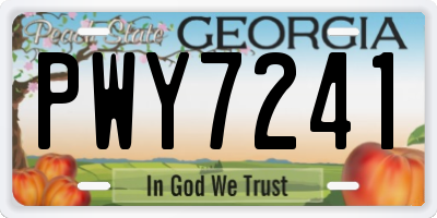 GA license plate PWY7241