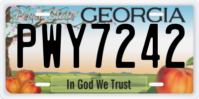GA license plate PWY7242