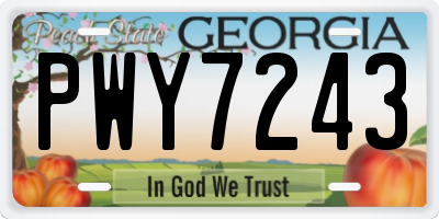 GA license plate PWY7243