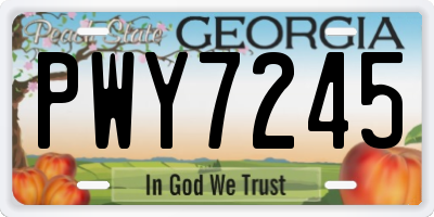 GA license plate PWY7245