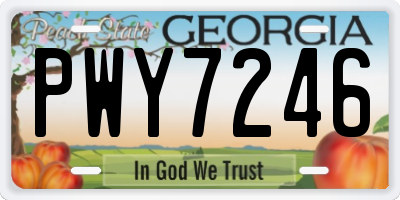 GA license plate PWY7246
