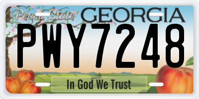 GA license plate PWY7248