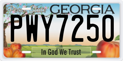 GA license plate PWY7250
