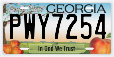 GA license plate PWY7254