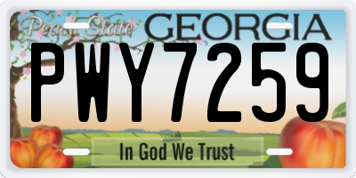 GA license plate PWY7259