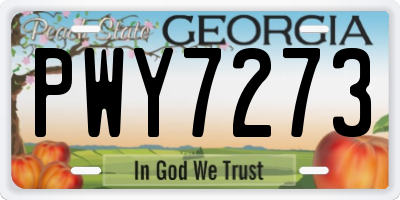 GA license plate PWY7273