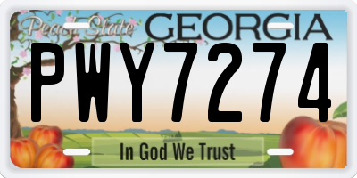 GA license plate PWY7274