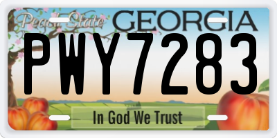 GA license plate PWY7283