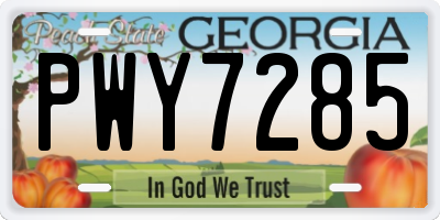 GA license plate PWY7285