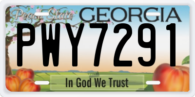 GA license plate PWY7291