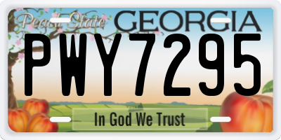 GA license plate PWY7295