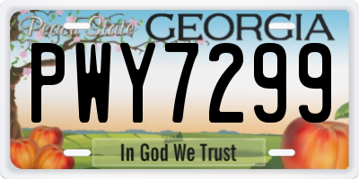 GA license plate PWY7299