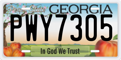 GA license plate PWY7305