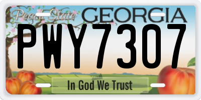 GA license plate PWY7307
