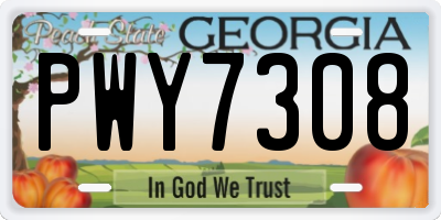 GA license plate PWY7308