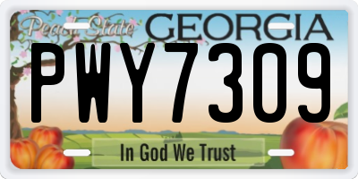GA license plate PWY7309