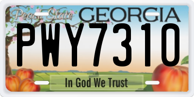 GA license plate PWY7310