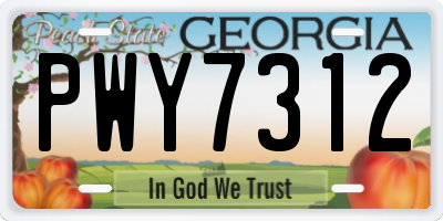 GA license plate PWY7312