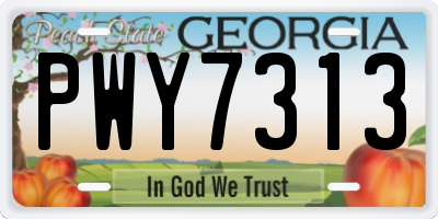 GA license plate PWY7313