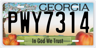 GA license plate PWY7314