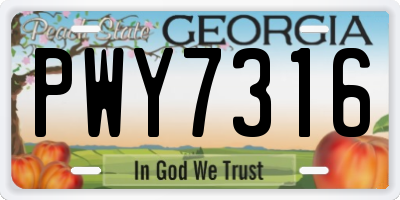GA license plate PWY7316