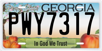 GA license plate PWY7317