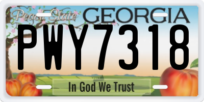 GA license plate PWY7318
