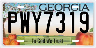 GA license plate PWY7319