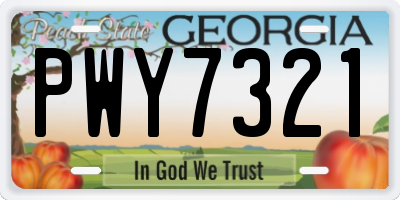 GA license plate PWY7321