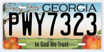 GA license plate PWY7323