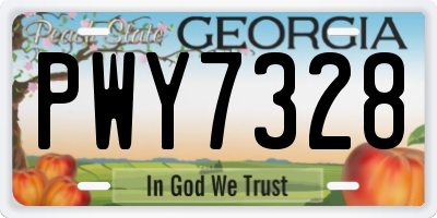 GA license plate PWY7328