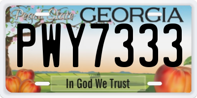 GA license plate PWY7333