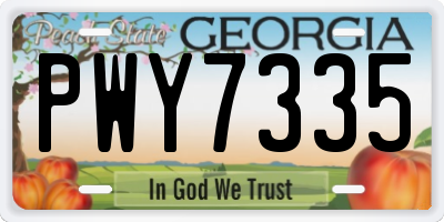 GA license plate PWY7335
