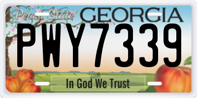 GA license plate PWY7339