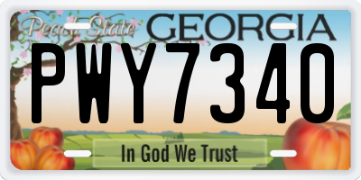 GA license plate PWY7340