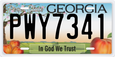 GA license plate PWY7341