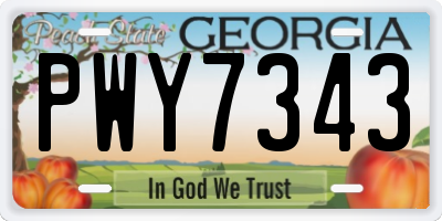 GA license plate PWY7343