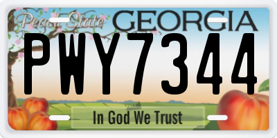 GA license plate PWY7344