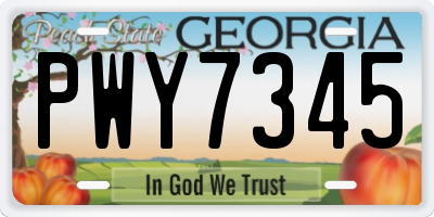 GA license plate PWY7345