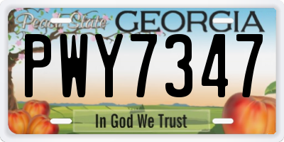 GA license plate PWY7347