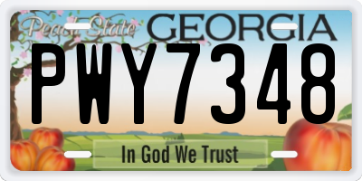 GA license plate PWY7348