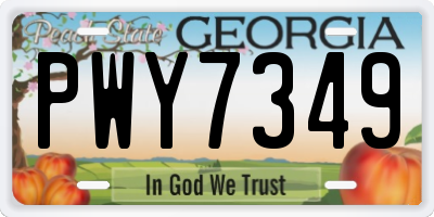 GA license plate PWY7349