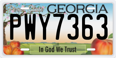 GA license plate PWY7363