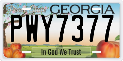 GA license plate PWY7377