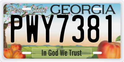 GA license plate PWY7381
