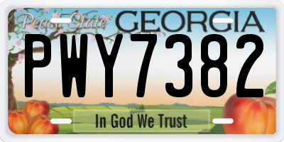GA license plate PWY7382