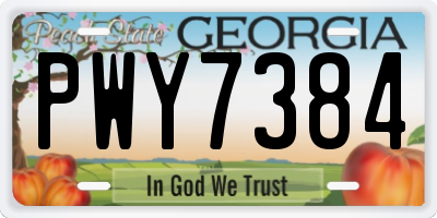 GA license plate PWY7384