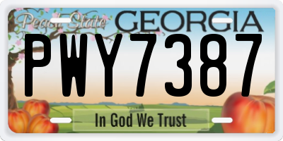 GA license plate PWY7387