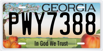 GA license plate PWY7388