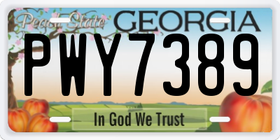 GA license plate PWY7389